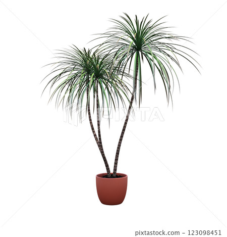 decorative flower in a pot isolate on a transparent background, 3D illustration, cg render 123098451