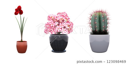 decorative flower in a pot isolate on a transparent background, 3D illustration, cg render decorative flower in a pot isolate on a transparent background, 3D illustration, cg render 123098469