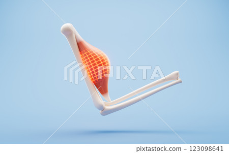 Muscle structure, medical concept visualization, 123098641