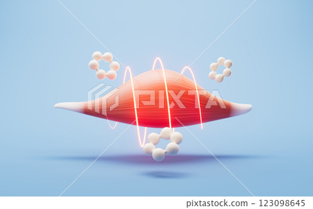 biological, musculature, diagram 123098645