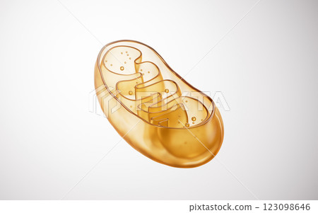 gold, golden, 3d 123098646