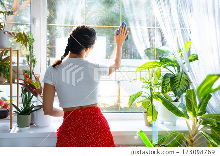 Woman manually washes the window of house with rag cleaner and mop inside the interior with home plants on windowsill. Restoring order and cleanliness in the spring, cleaning servise 123098769