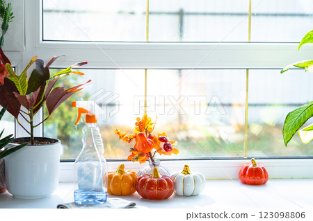 Pumpkin decor and window cleaning products are lying on windowsill with rag, spray inside interior with home plants on windowsill. Restoring order and cleanliness in autumn, cleaning servise 123098806
