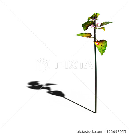 wild field grass, isolated on a transparent background, 3D illustration, cg render wild field grass, isolated on a transparent background, 3D illustration, cg render 123098955
