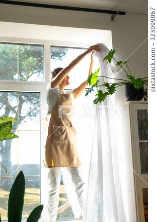 Woman in apron hangs transparent tulle curtains on large windows in the house inside the interior with potted plants. Spring cleaning, tidying up 123099067