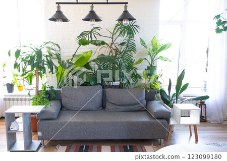 Modern loft-style interior of house features large potted plants, white brick wall, gray sofa, a striped rug, and large windows. Modern loft-style interior of house features large potted plants, white brick wall, gray sofa, a striped rug, and large windows. 123099180