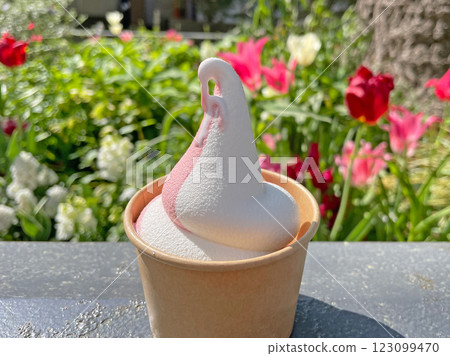 Mixed soft serve ice cream Vanilla Strawberry 123099470