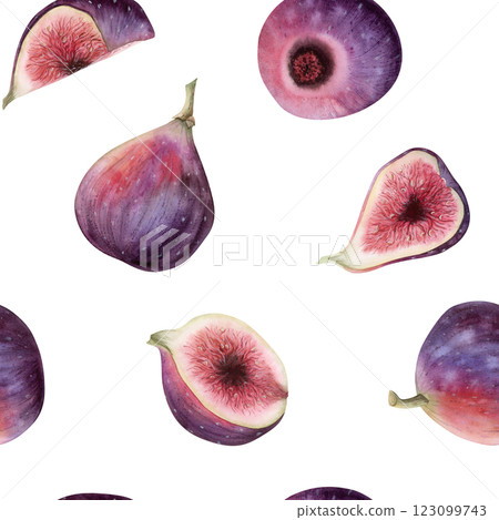 Watercolor purple figs seamless pattern on white. Whole and cut summer fruits repeat background in realistic botanical style with halved berries. Hand drawn simple backdrop 123099743