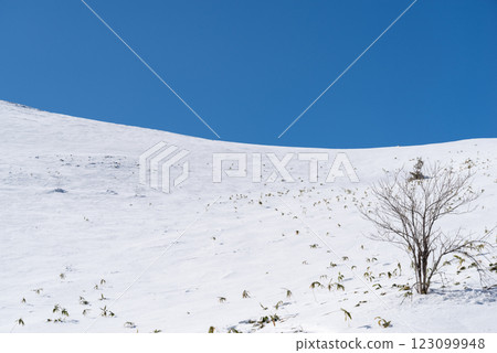Snowy landscape and blue sky Snowy landscape and blue sky 123099948