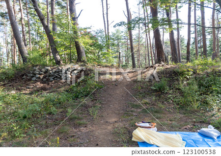 Hayashidai Castle Ruins: Main Wall and Stone Walls 123100538