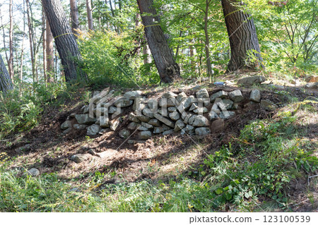 Hayashidai Castle: Stone walls remaining at the site of the main castle 123100539