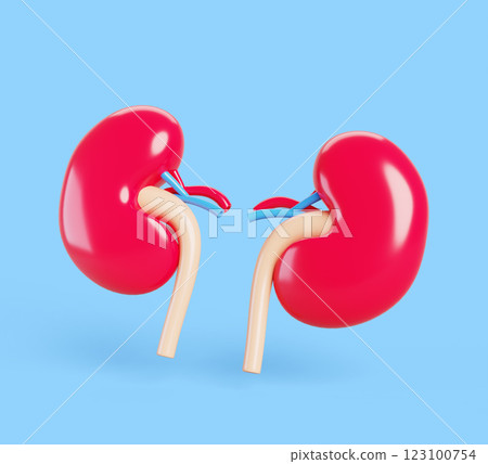 Human kidneys 3d render icon. Internal organs for dialysis and filter function with artery, vein and ureter, medical concept. Realistic renal system, nephrology part of body anatomy. 3D illustration Human kidneys 3d render icon. Internal organs for dialysis and filter function with artery, vein and ureter, medical concept. Realistic renal system, nephrology part of body anatomy. 3D illustration 123100754