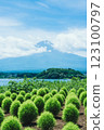 Mt. Fuji in the summer 123100797