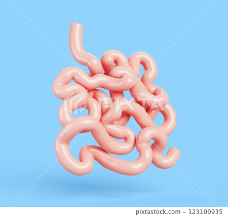 3d small intestine, bowel, human internal organ of digestive system. Anatomy duodenum, jejunum, ileum. Medical and gastroenterology concept. Isolated gut abdominal Cartoon render icon. 3D illustration 123100935