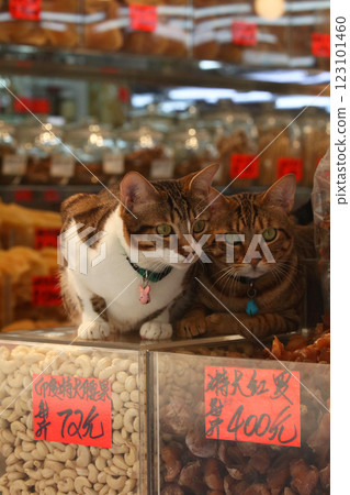 香港德助道的一家乾貨店裡，一隻貓守護著販售的頂級食材。 123101460