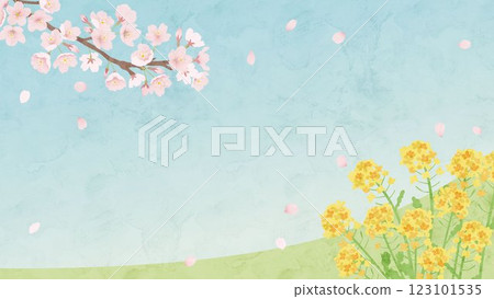 櫻花和油菜花的春季水彩風格背景插圖 123101535