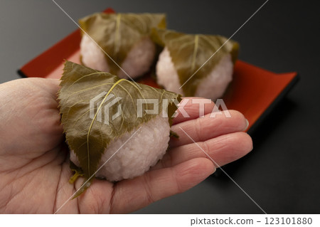 Sakuramochi Domyoji Sakuramochi Sakuramochi Domyoji Sakuramochi 123101880