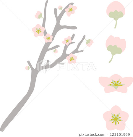 簡約時尚的梅花插畫素材集 簡約時尚的梅花插畫素材集 123101969
