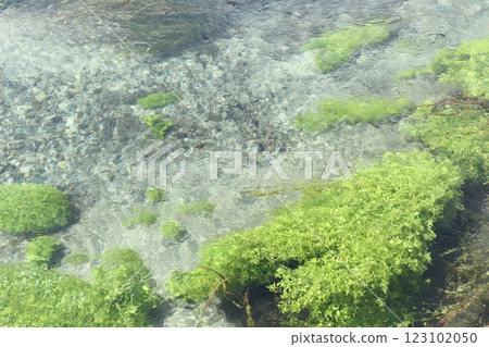 The clear waters of Azumino bring to mind the signs of spring 123102050
