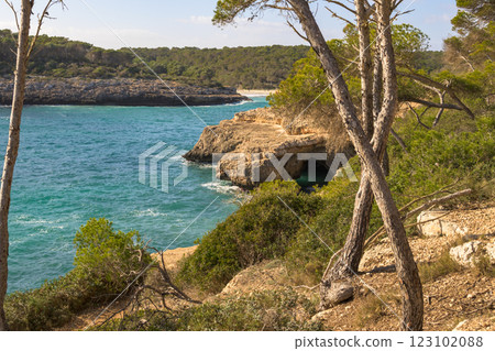 Rocky coastline with trees and waves lapping against the shore, cala mondrago, mallorca, balearic island, spain Rocky coastline with trees and waves lapping against the shore, cala mondrago, mallorca, balearic island, spain 123102088