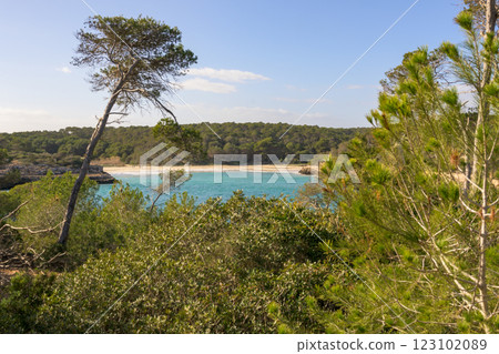 Vast view of green forest meeting turquoise sea under blue sky, cala mondrago, mallorca, balearic island, spain Vast view of green forest meeting turquoise sea under blue sky, cala mondrago, mallorca, balearic island, spain 123102089