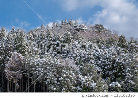 Snowy Mount Inaba, Kokufu-cho, Tottori City, Tottori Prefecture 123102350