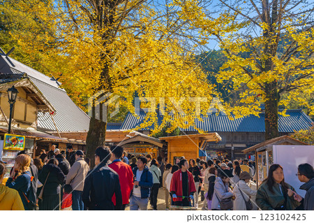 People walking in autumn in Korankei, Toyota City (Aichi Prefecture) People walking in autumn in Korankei, Toyota City (Aichi Prefecture) 123102425