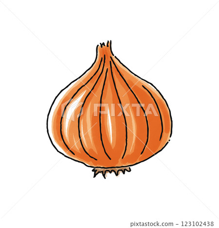 Onion, watercolor style 123102438