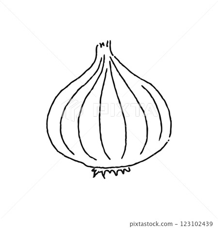 Onion line drawing Onion line drawing 123102439