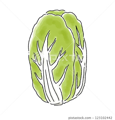 Chinese cabbage watercolor style 123102442