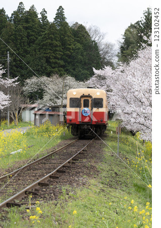 小湊鐵道春飯部站 小湊鐵道春飯部站 123102452