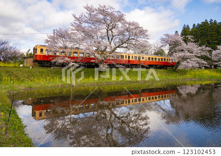 小湊鐵道春飯部站 123102453