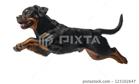 Dog leaps joyfully in a dynamic side view against a clean white background 123102647
