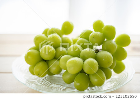 King of Grapes Shine Muscat 123102650