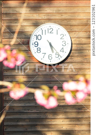 Scenery of a ticking clock on a calm spring day Scenery of a ticking clock on a calm spring day 123102961