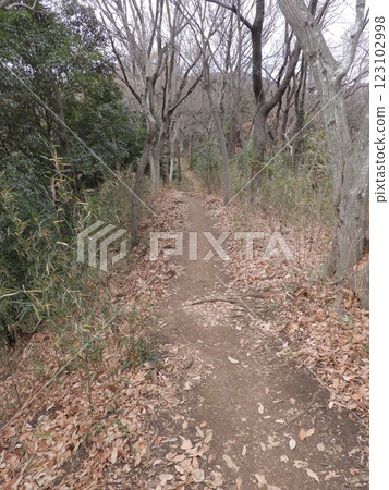 一條通往大山深處的健行小徑 一條通往大山深處的健行小徑 123102998