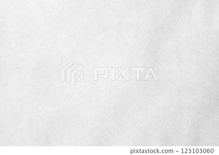 White paper with stain and grainy texture 123103060