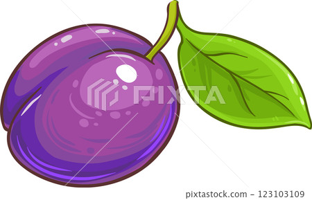 plum fruit vector isolated 123103109