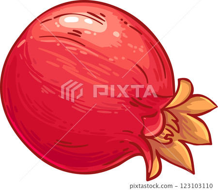 Pomegranate  Fruit  Colored Detailed Illustration 123103110