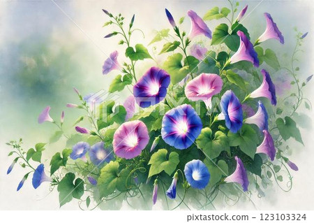 Summer Morning Glory 123103324