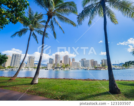Hawaiian image: ocean, palm trees and high-rise hotel 123103507