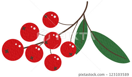 Rowan tree branch with leaves and berries. Vector illustration isolated on white background. Mountain ash summer design. 123103589