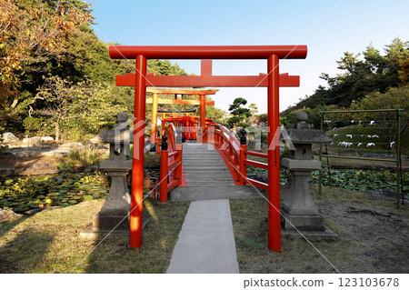 Shrine grounds: Bridge over a pond and torii gate 123103678