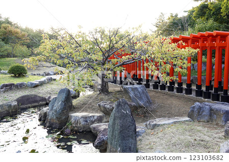 神社內的千本鳥居和日式花園 神社內的千本鳥居和日式花園 123103682