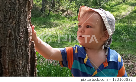Curious little boy exploring a tree trunk in a vibrant green forest environment 123103882