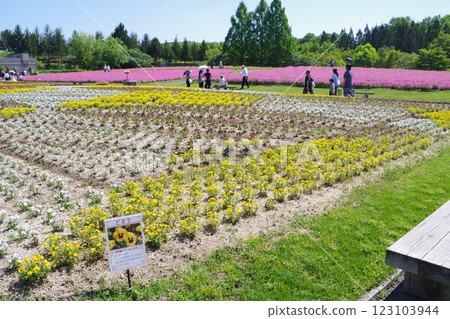 比北山公園花卉廣場景觀 123103944