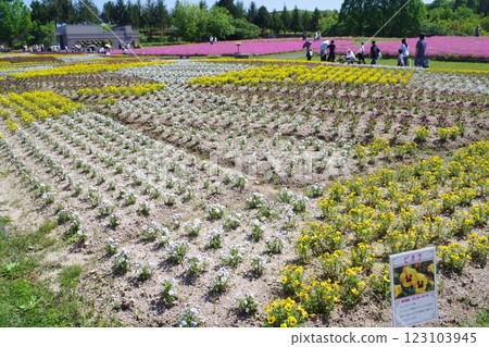 比北山公園花卉廣場景觀 123103945