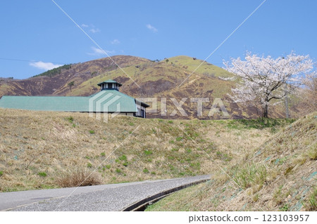 留有山火痕跡的吹入山風景 123103957