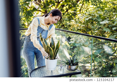 A woman in gloves gently adjusts potted snake plants on a glass table on a sunny balcony surrounded by trees. Highlights gardening therapy and nature. 123104217
