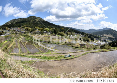 Preparing for rice planting, Sakaori rice terraces Preparing for rice planting, Sakaori rice terraces 123104385